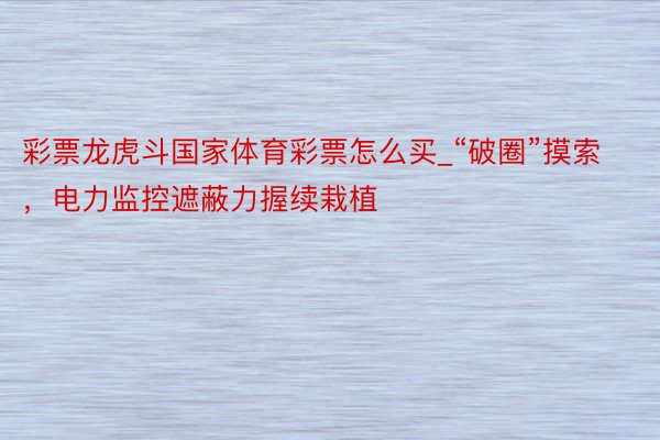 彩票龙虎斗国家体育彩票怎么买_“破圈”摸索，电力监控遮蔽力握续栽植