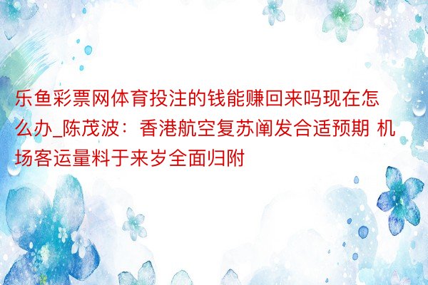 乐鱼彩票网体育投注的钱能赚回来吗现在怎么办_陈茂波：香港航空复苏阐发合适预期 机场客运量料于来岁全面归附