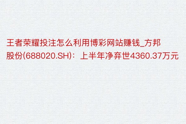 王者荣耀投注怎么利用博彩网站赚钱_方邦股份(688020.SH)：上半年净弃世4360.37万元