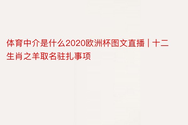 体育中介是什么2020欧洲杯图文直播 | 十二生肖之羊取名驻扎事项