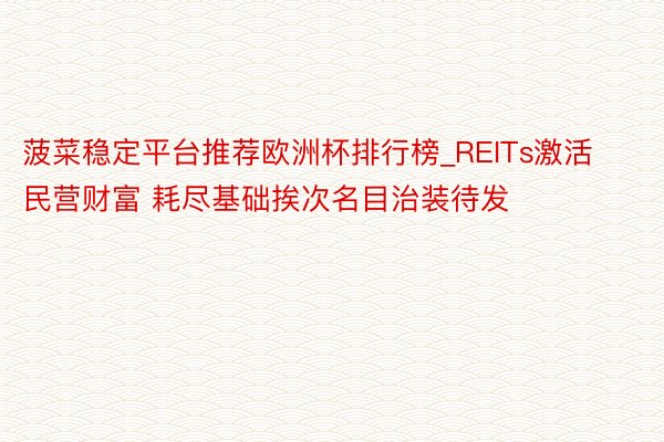 菠菜稳定平台推荐欧洲杯排行榜_REITs激活民营财富 耗尽基础挨次名目治装待发