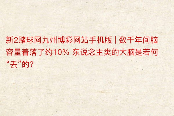 新2赌球网九州博彩网站手机版 | 数千年间脑容量着落了约10% 东说念主类的大脑是若何“丢”的？