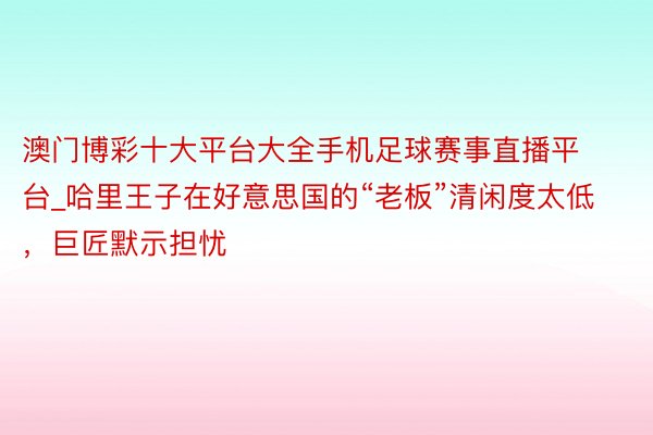 澳门博彩十大平台大全手机足球赛事直播平台_哈里王子在好意思国的“老板”清闲度太低，巨匠默示担忧